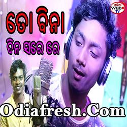 To Bina Mora Dina Sare Re  Romantic Odia Song (Bibhava)